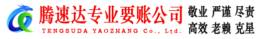 枞阳腾速达清债公司